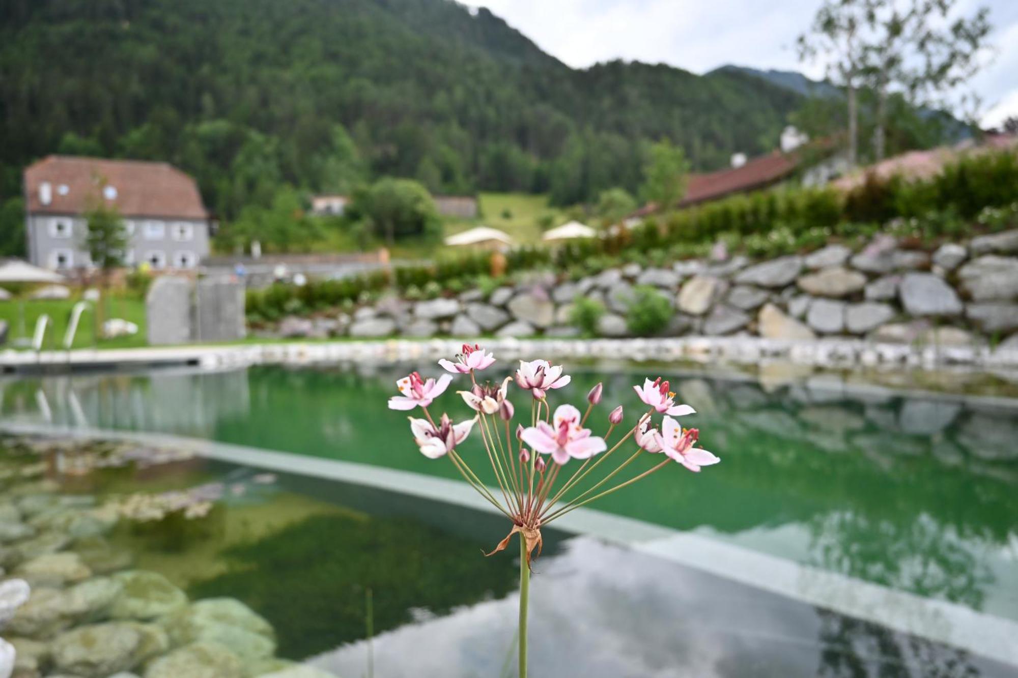 Tilia Living - B&B Mit Dem Komfort Eines Kleinen, Feinen Hotels Ried im Oberinntal Extérieur photo